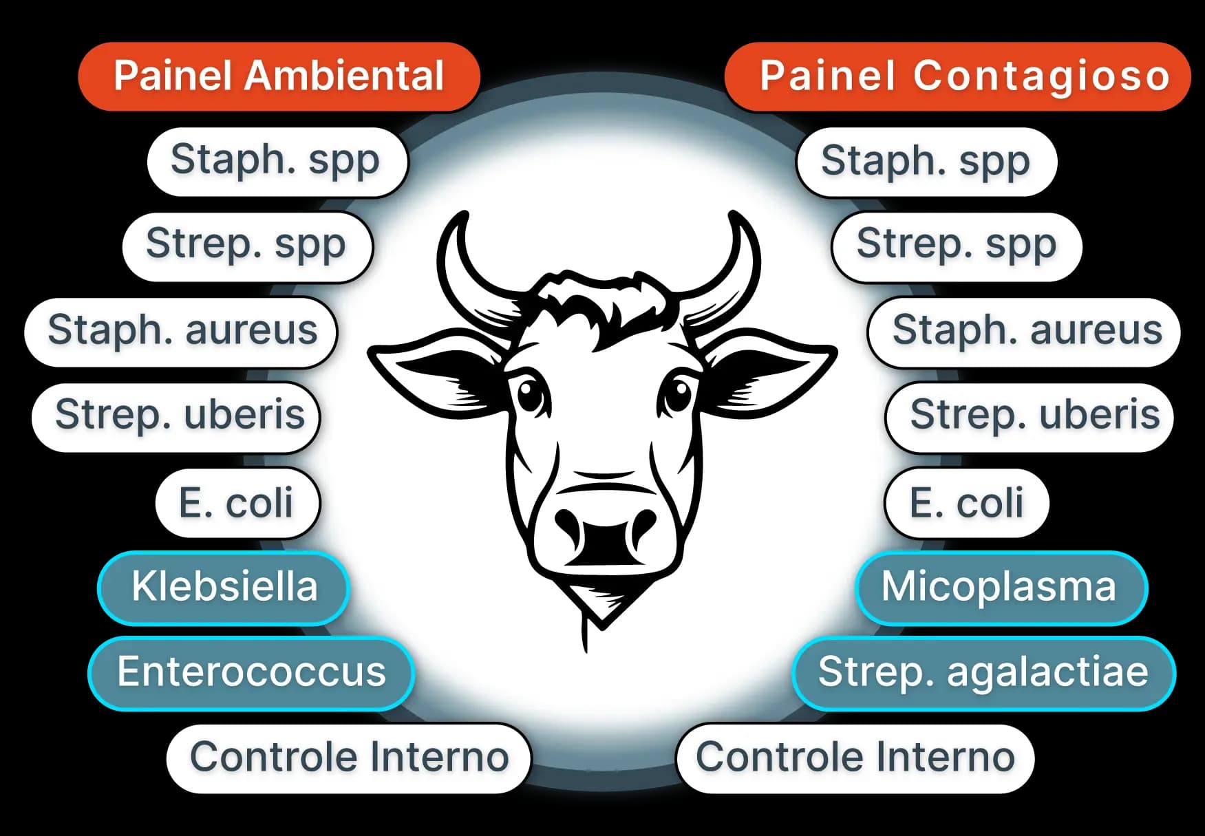 Pathogens Diagram