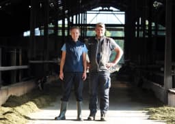 Veterinarian and herd manager in a dairy barn