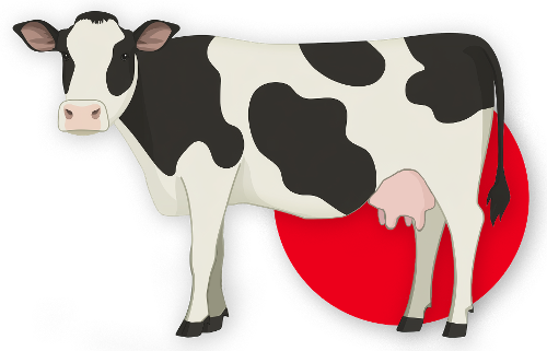 Cow with Circle-1-1