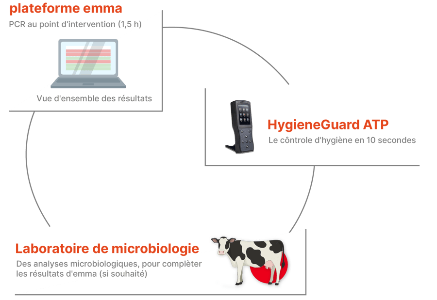 Emmaverse components circle_multilangual_French