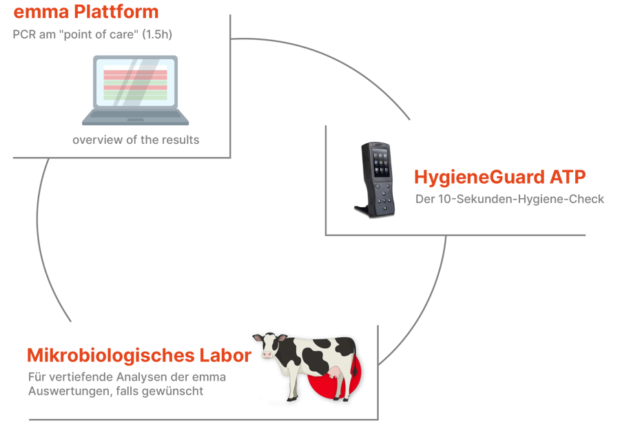 Emmaverse components circle_multilangual_German