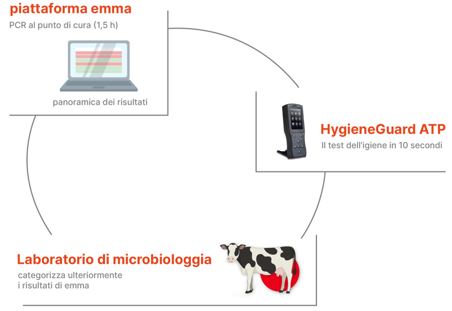 Emmaverse components circle_multilangual_Italian