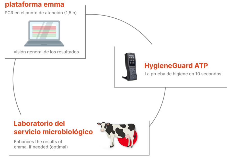 Emmaverse components circle_multilangual_Spanish