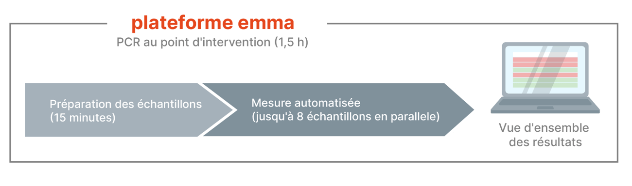 Emmaverse process arrows_multilingual_French