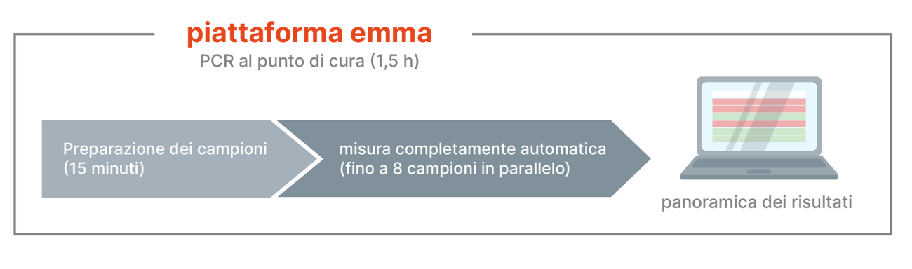 Emmaverse process arrows_multilingual_Italian