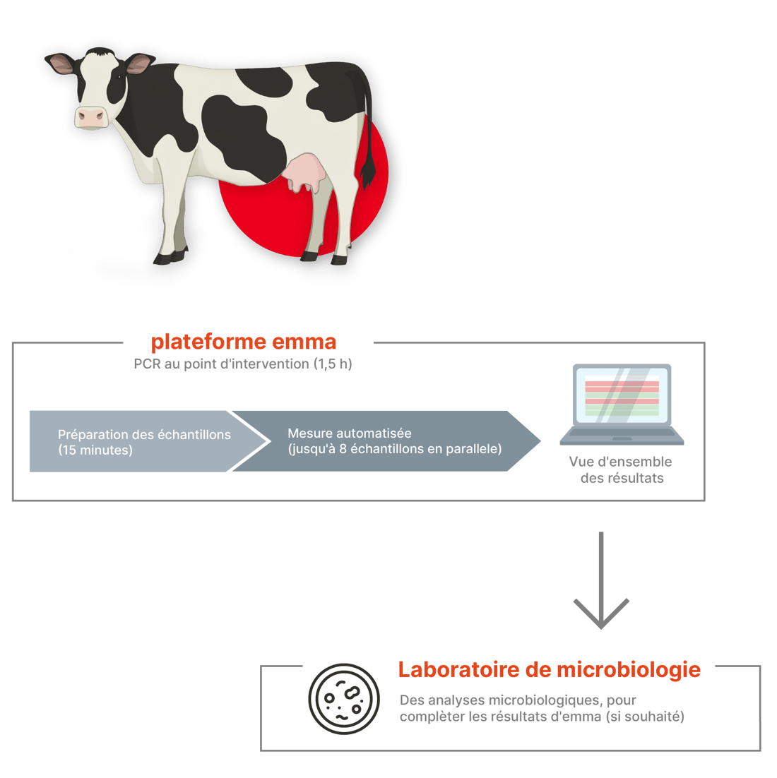 Microbiology Lab process_multilingual_French