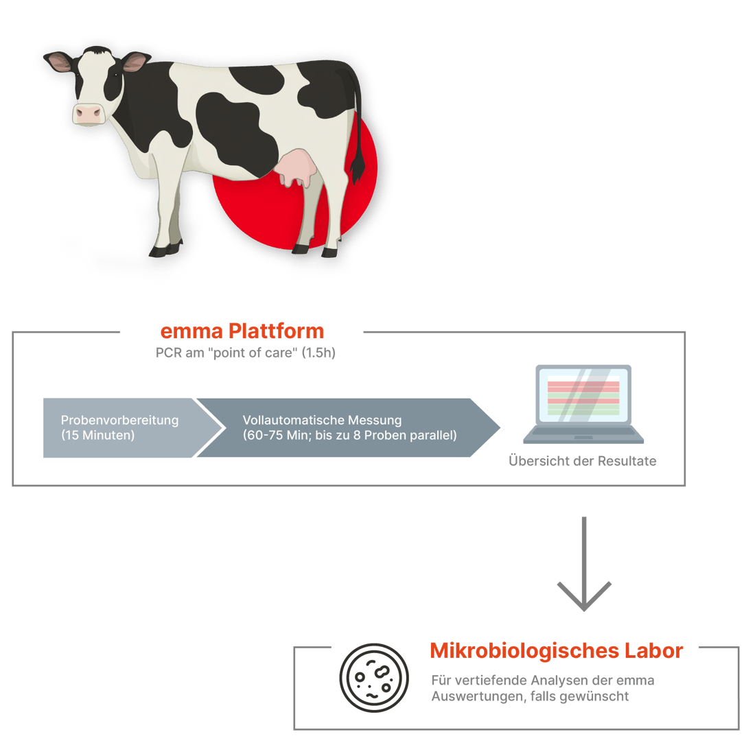 Microbiology Lab process_multilingual_German