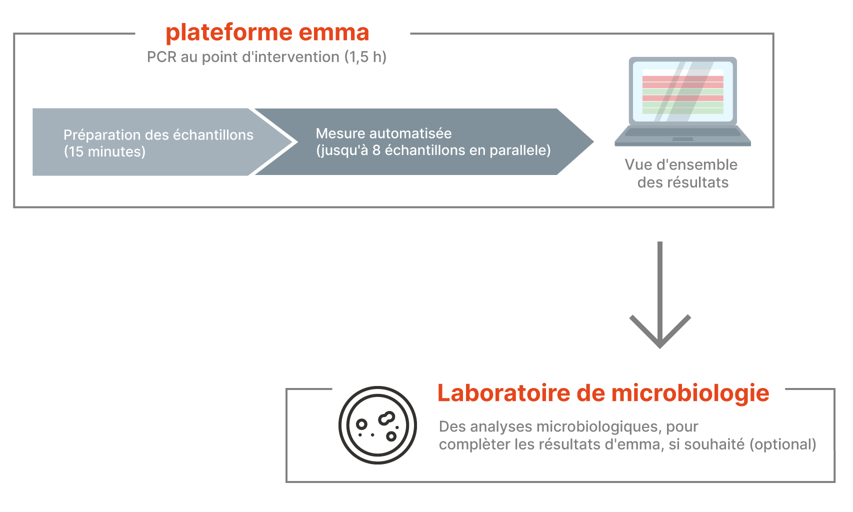 Microbiology-Lab-process_multilingual-V2_FR