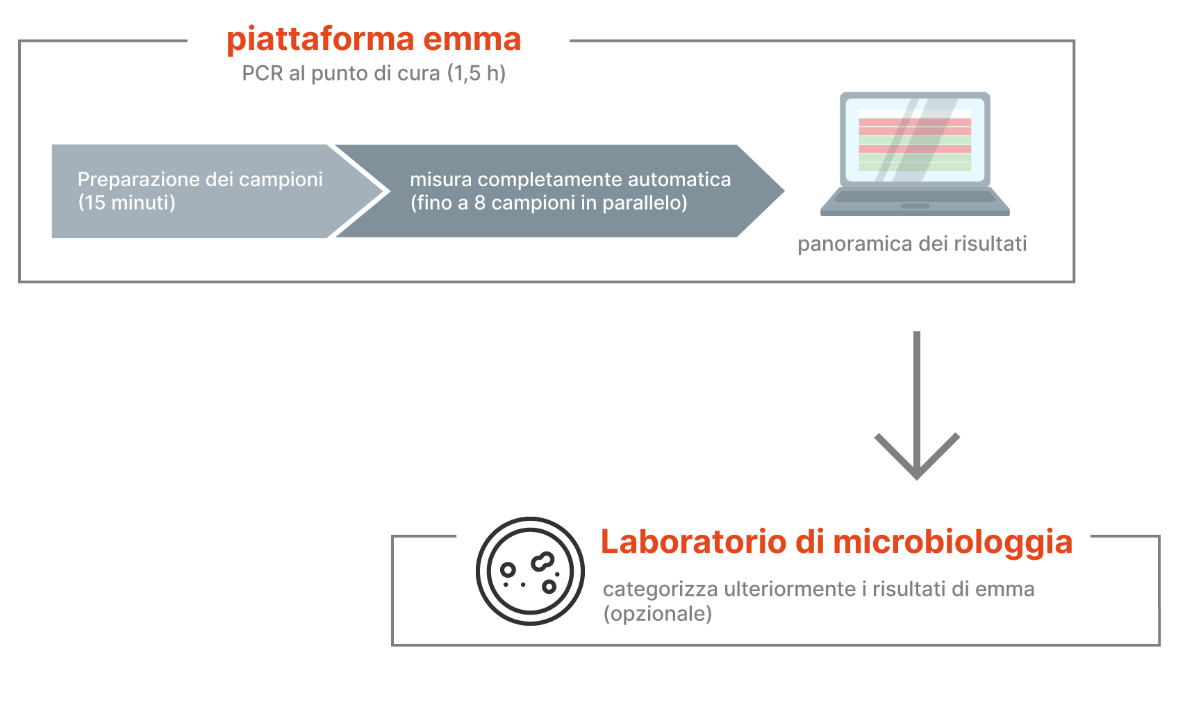Microbiology-Lab-process_multilingual-V2_IT