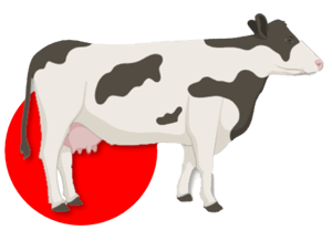 cow-illustration