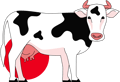 cow-und-euterkreis