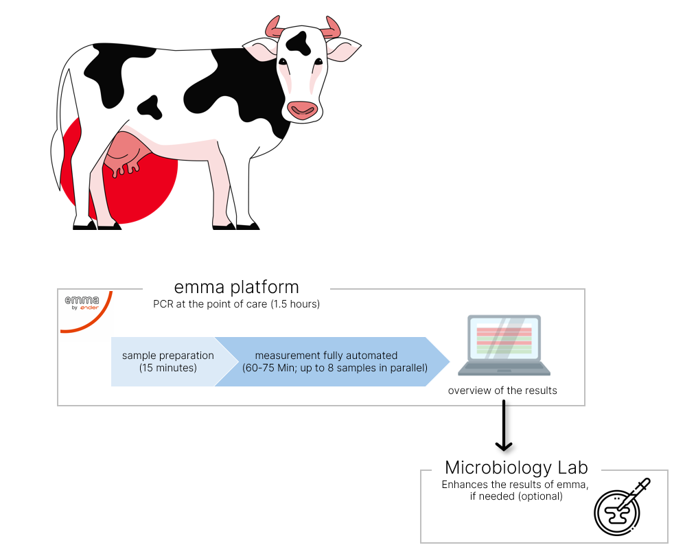 emma-platform-and-MiBi_EN