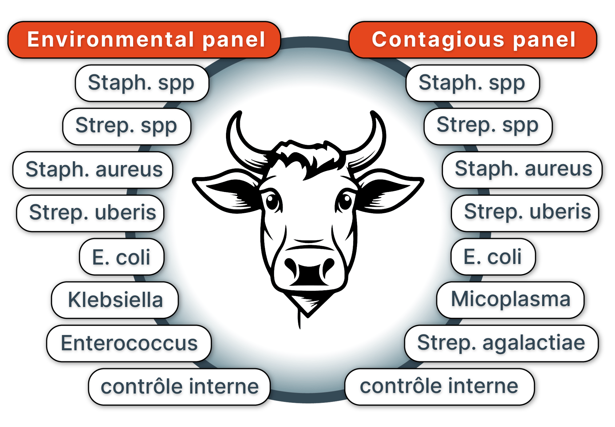 pathogens-diagram new_multilingual_French