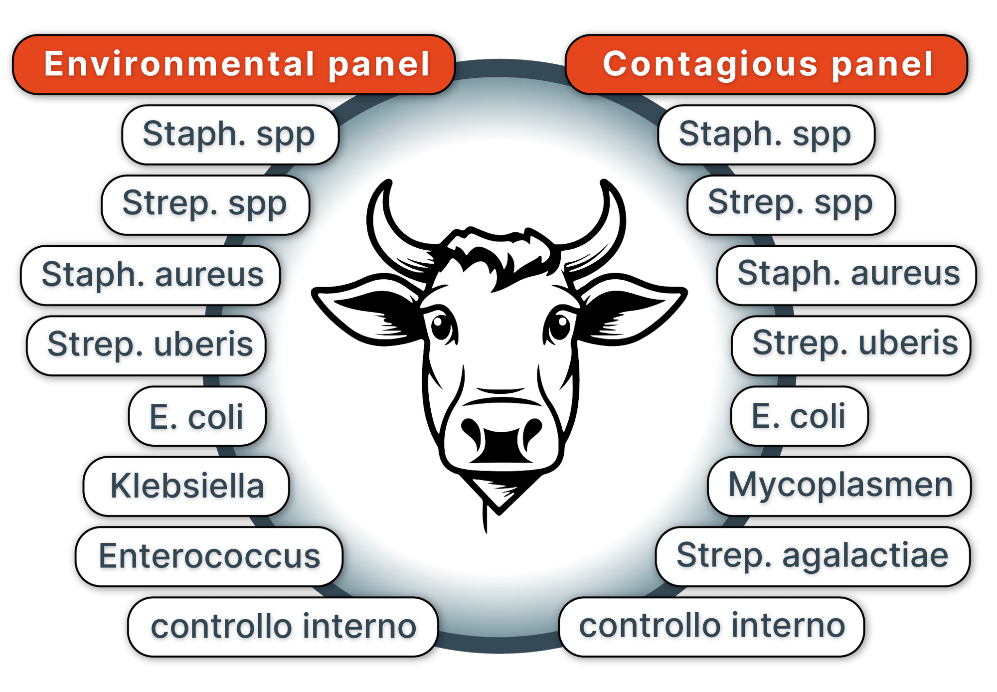 pathogens-diagram new_multilingual_Italian