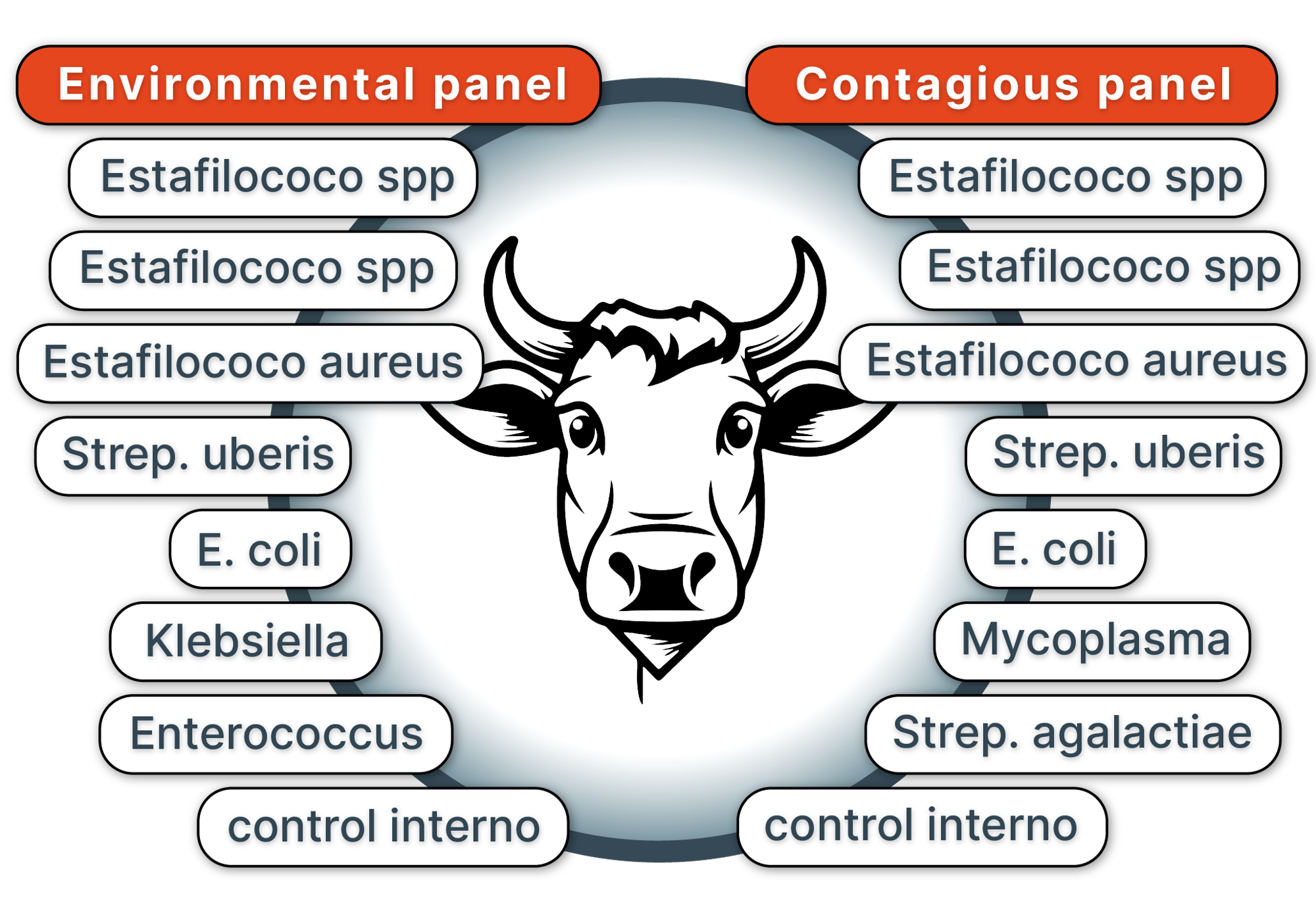 pathogens-diagram new_multilingual_Spanish