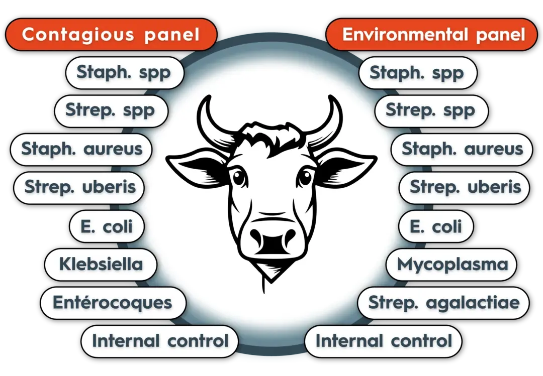 pathogens-diagram3